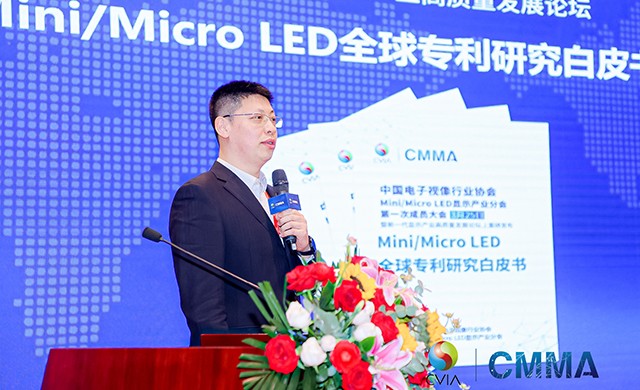 Mini/Micro LEDȫרоƤ顷