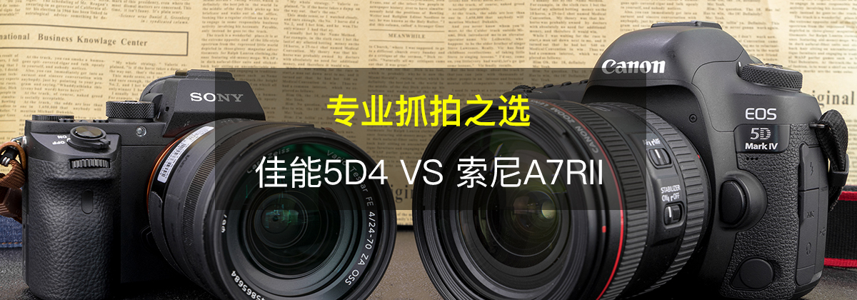 רҵץ֮ѡ 5D4 VS A7RII