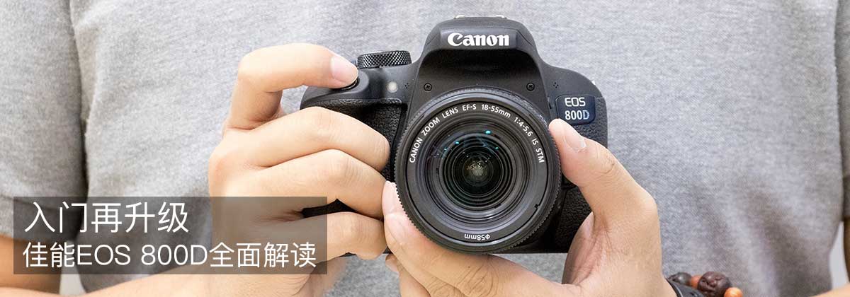 ���ŵ��������� ����EOS 800Dȫ����