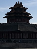 iPhoneX