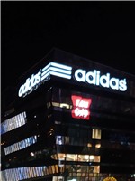 ����S11S