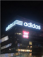 ��ҫV10