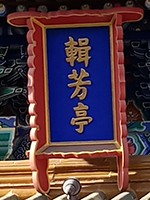 ����PRO7 Plus