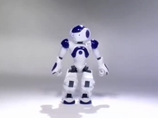 Aldebaran Robotics' Nao