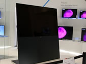 �����׿��OLED��������
