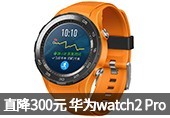Ϊwatch2 Pro