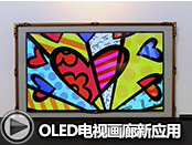 LG OLED���ӻ�����Ӧ��