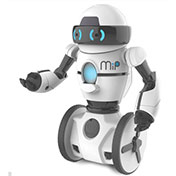Mip