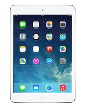 ƻiPad mini 216GB/WiFi棩