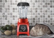 Vitamix S55