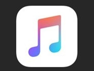 Apple MusicʲУҵˮƽ