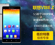 VIBE ZK910/ͨ棩