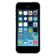 Apple iPhone 5s(16G) 3G�����ֻ�(��ջ�ɫ ��ͨ��)