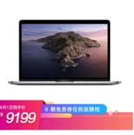 Apple 2019 MacBook Pro 13.3˴i5 8G 256G RP645Կ ջ ʼǱ MUHP2CH/A