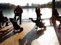 ���⣺�������һ�ѻ�<br/>
�ͺţ�����G700c<br/>
���ߣ�68ok