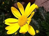 ���⣺���ճ�����Ʒ��<br/>
�ͺţ�iPhone 4<br/>
���ߣ�Ц��Ц