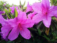 ���⣺��������<br/>
�ͺţ�����N7000<br/>���ߣ�Ů����