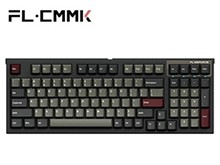 ��CJ�Ƽ�������FL980 CP-RGB���ߵ�ģ��е����