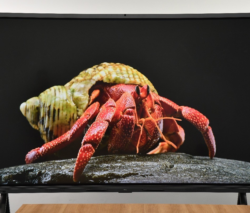 TCL v66nͼ4