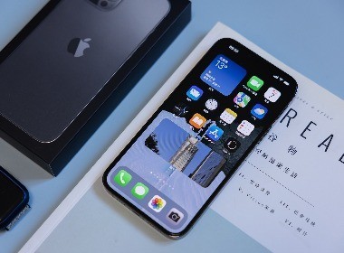 苹果iPhone 13 Pro Max
