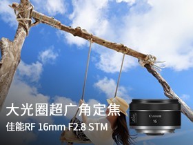 RF16mm F2.8 STM