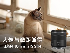 RF85mm F2 MACRO IS STM