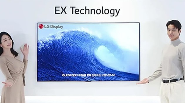 30% LG Display塰OLED.EX