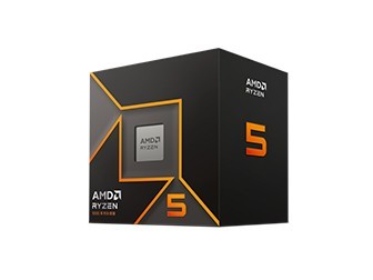 AMD 5 9600X