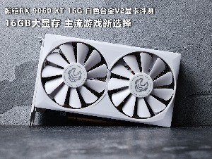 ���RX 9060 XT 16G ��ɫ�Ͻ�V2�Կ����⣺16GB���Դ� ������Ϸ��ѡ��