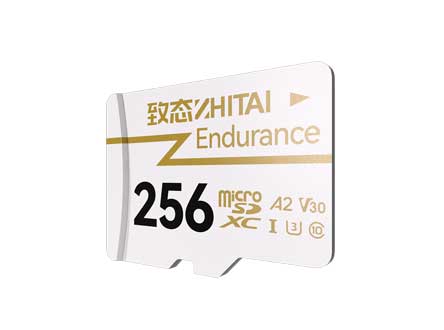 ��̬Endurance�߶����ô洢��