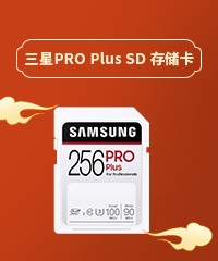 PRO Plus SD 洢