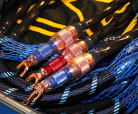 �����A.R.T�����߲�