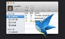 Mac迅雷1.1.5新增高速通道