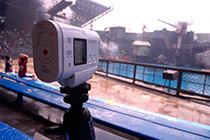 �������ν�