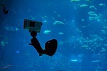 �������