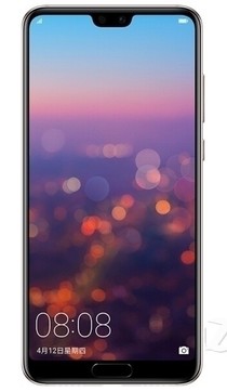 ΪP20 Pro