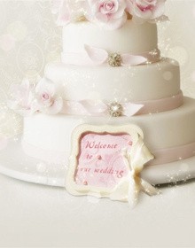 ���۸����ֻ������ֽ3