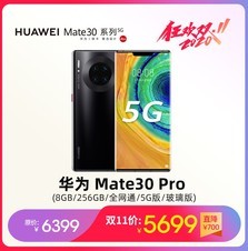 Ϊ Mate30 Pro8GB/256GB/ȫͨ/5G/棩