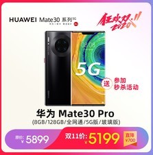 Ϊ Mate30 Pro8GB/128GB/ȫͨ/5G/棩