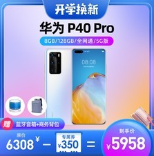 ΪP40Pro8GB/128GB/ȫͨ/5G棩