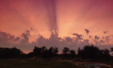 �ճ������䡤�ʺ硤iPhone 5