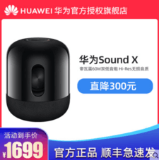 12ϢΪsound x60W