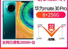 ΪMate30Pro8GB/256GB/ȫͨ