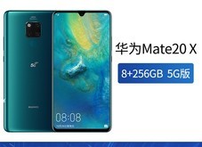 Ϊ Mate 20 X5G棩