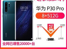 ΪP30Pro8GB/512GB/ȫͨ