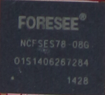 FORESEE 8GB