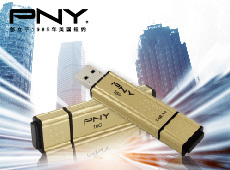 PNY216GB