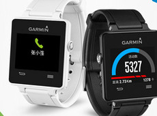 GARMINvivoactive 1799