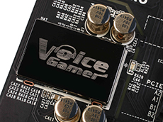 Gamer VoiceƵģ
