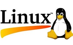 <span>22</span>Linux